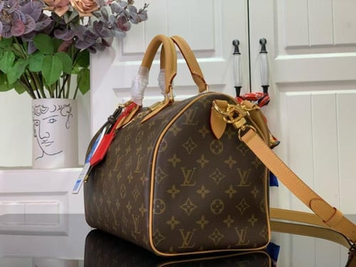 لوي فيتون Speedy Soft 30 Crafty مقاس30cm