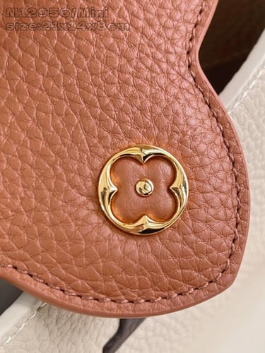 لوي فيتون كابسين BB مقاس21cm