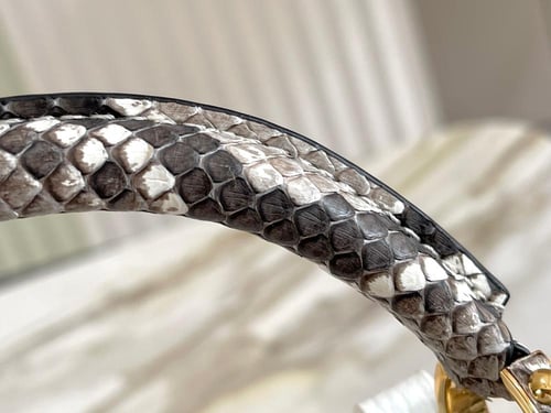 لوي فيتون كابسين BB مقاس21cm