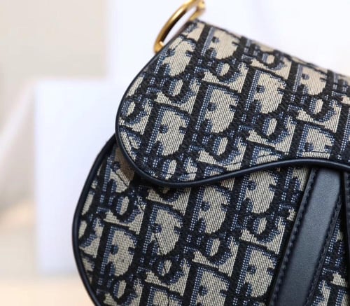 ديور سادل باق مقاس 19cm