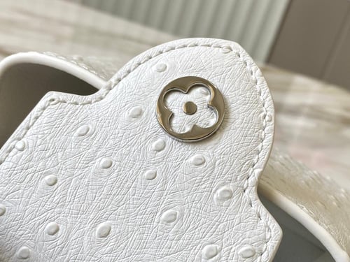 لوي فيتون Capucines مقاس 21cm