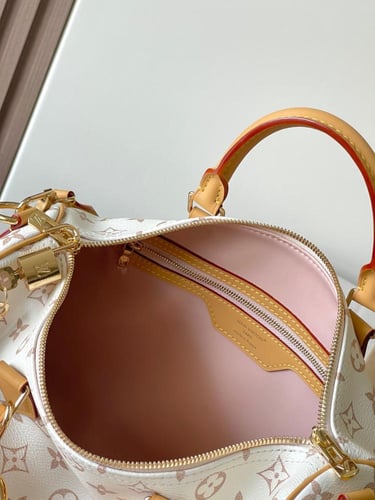 لوي فيتون SPEEDY SOFT مقاس 30cm