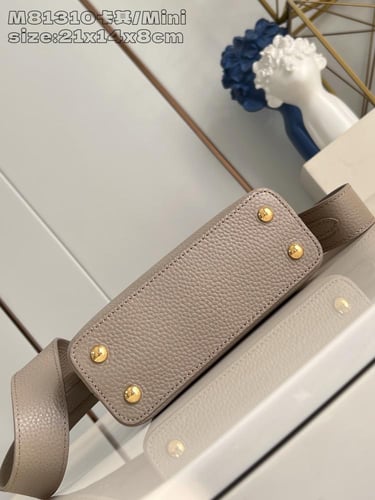 لوي فيتون كابسين ميني 21cm