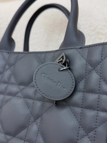 ديور Book Tote مقاس 26.5 cm