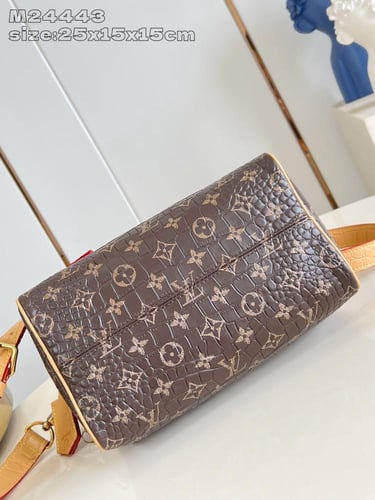 لوي فيتون NANO SPEEDY مقاس 25cm