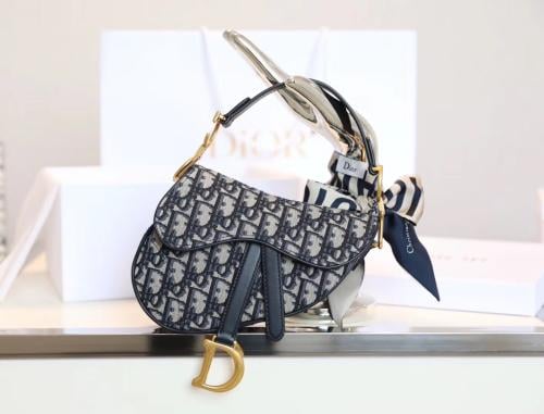 ديور سادل باق مقاس 19cm