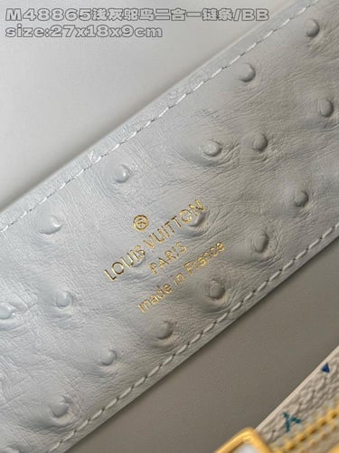 لوي فيتون كابسين BB مقاس27cm