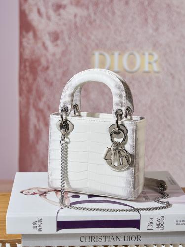 ديور ليدي ميني مقاس 17cm