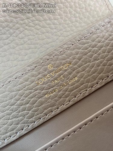 لوي فيتون كابسين ميني 21cm