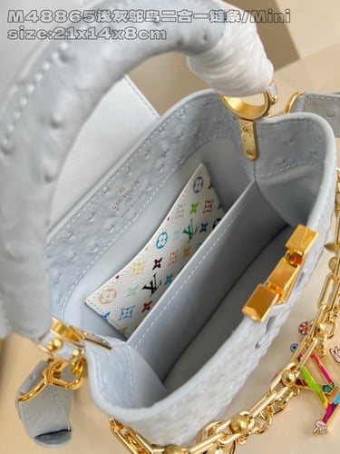 لوي فيتون كابسين BB مقاس21cm