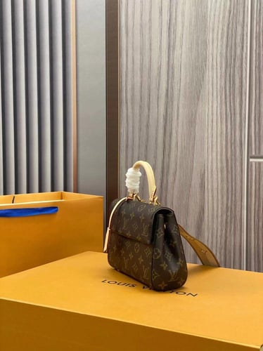 لوي فيتون Cluny Mini مقاس 20cm