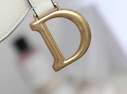 ديور سادل باق مقاس 19cm