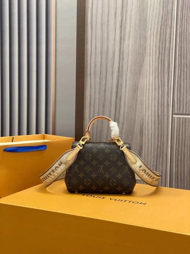لوي فيتون Cluny Mini مقاس 20cm