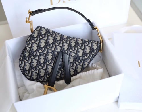 ديور سادل باق مقاس 19cm