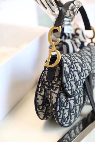 ديور سادل باق مقاس 19cm