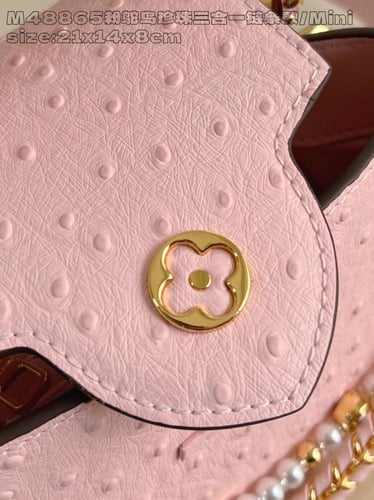 لوي فيتون كابسين BB مقاس21cm