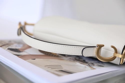 ديور سادل باق مقاس 19cm