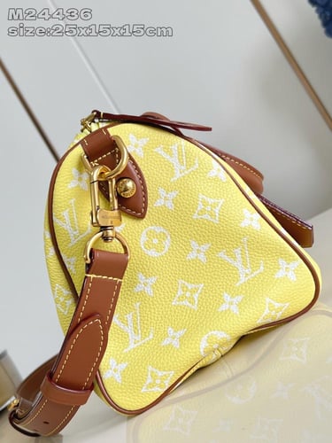 لوي فيتون Speedy Bandoulière مقاس25cm
