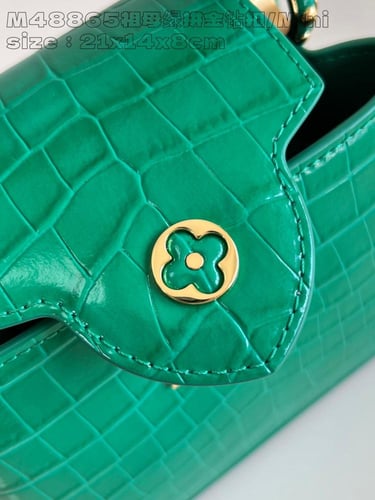 لوي فيتون كابسين BB مقاس21cm