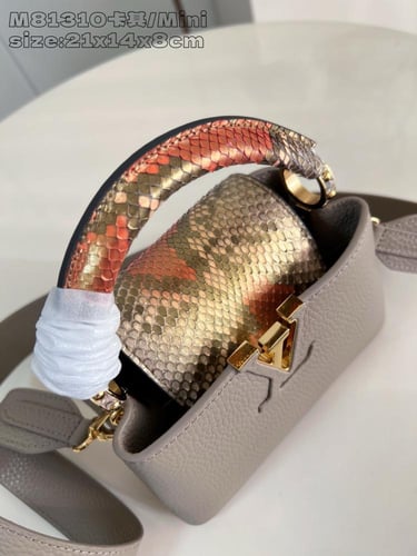 لوي فيتون كابسين ميني 21cm