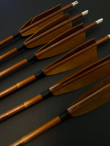 6 اسهم كاربون ريش تركي