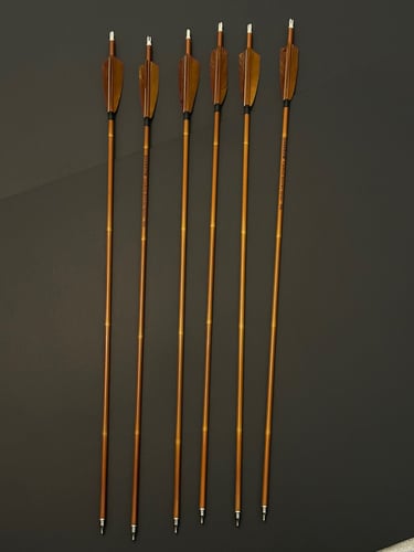 6 اسهم كاربون ريش تركي