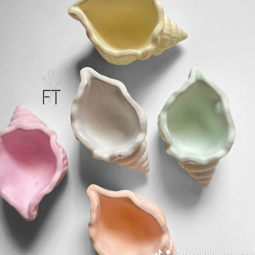 صحن القوقعة