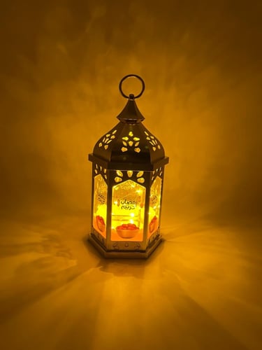 فانوس الضوء HTS-LZYL