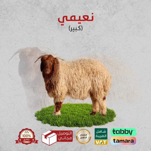 ذبيحة نعيمي كبير