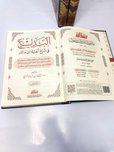 البديع في شرح الفية ابن مالك 3/1