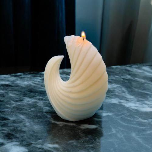 صَدح البِحار