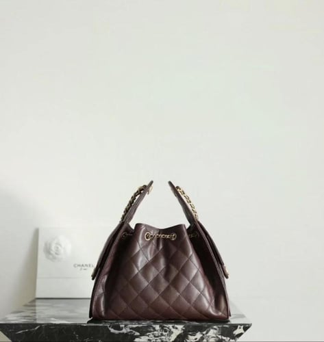 حقيبة شانيل ٢٥ - CHANEL 25