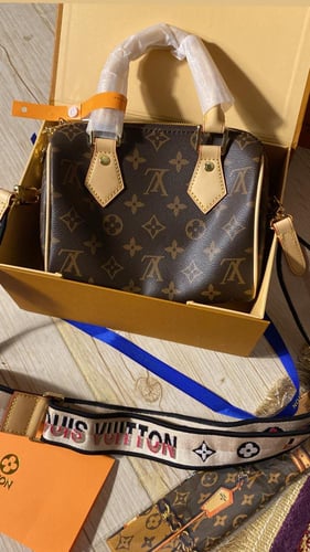 شنطة لويس فيتون