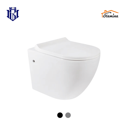 كرسي حمام معلق ستامينا (Stamina) صيني - موديل CR-0...