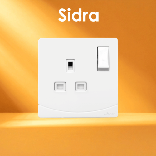 فيش 13 أمبير