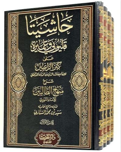 حاشيتا قليوبي وعميرة