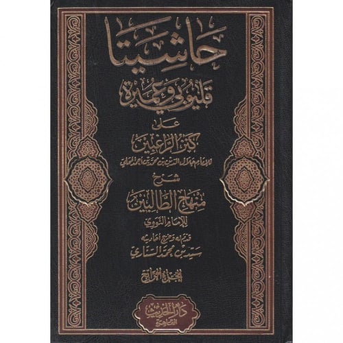 حاشيتا قليوبي وعميرة