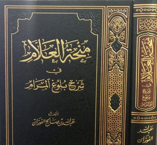 منحة العلام شرح بلوغ المرام ج 10