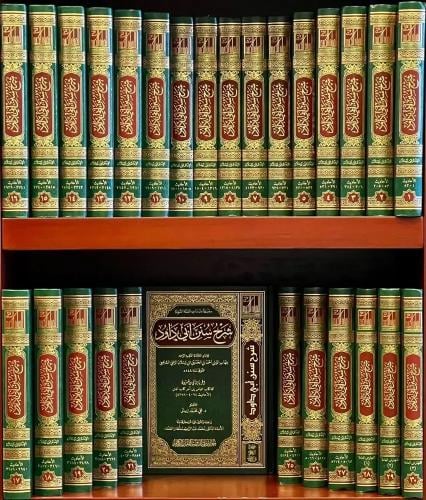 شرح سنن ابي داود لابن رسلان 1-30