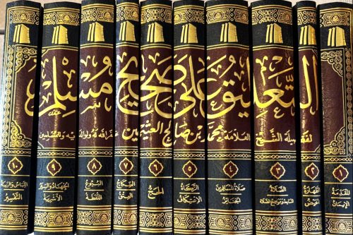 التعليق على صحيح مسلم 1-10