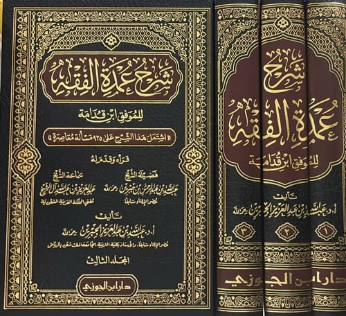 شرح عمدة الفقه 1-3