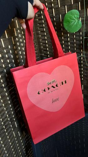 كيس كوتش وسط 28 في 32 عمق 11 سم