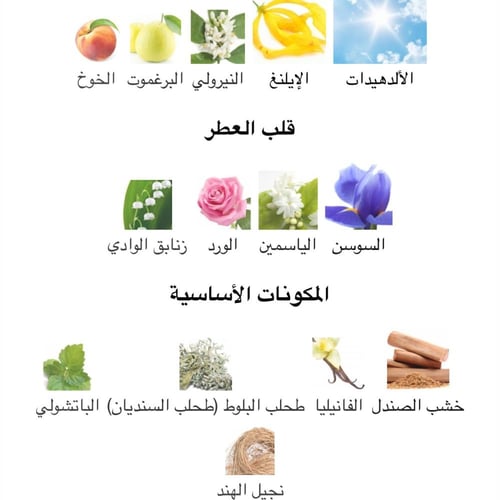 عطر ميني نسائي نمبر 5 من شانيل او دو برفيوم 1.5 ML...