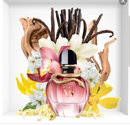 عطر نسائي اكس اس بيور نسائي باكو ربان او دو برفيوم...