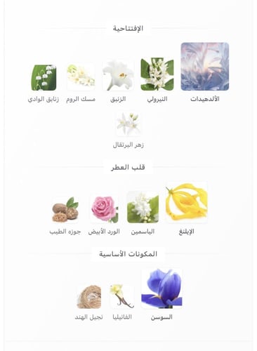 عطر ميني نسائي N22 شانيل او دو برفيوم 4ML صب