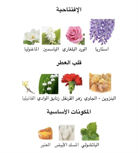 عطر نسائي للشعر ذا كورا ثمين 50ML تستر