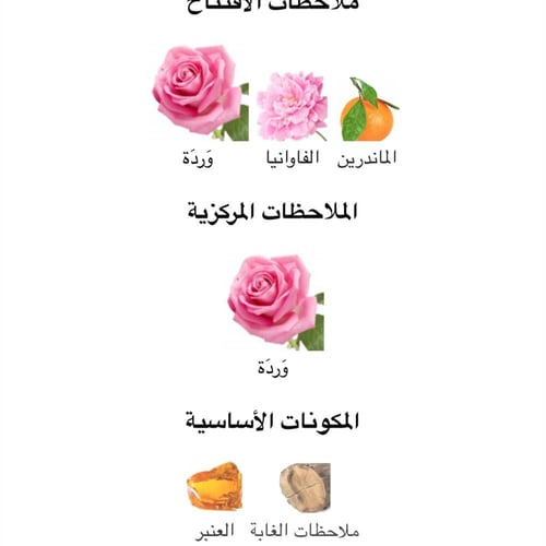 عطر نسائي ميني مكارتني استلا او دو برفيوم 30ML