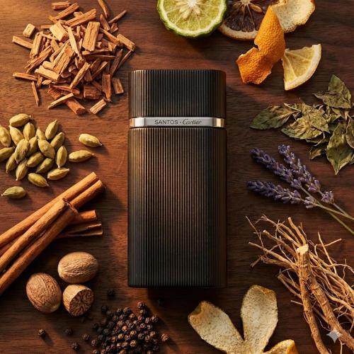 عطر رجالي سانتوس كارتييه او دو تولت 100ML تستر كرت...