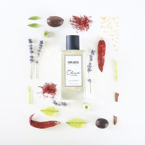 عطر ميني نيش كلاود ناين ديس سنس باراديس او دو برفي...