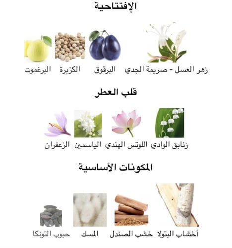 عطر نسائي ميني اردن فيفث افيتيو افتر فايف 30 ML